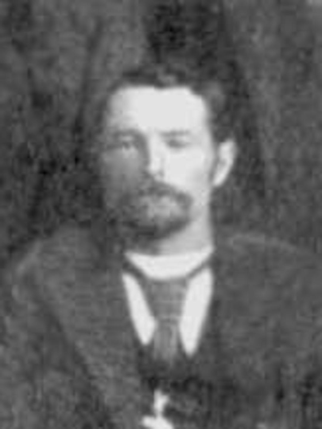 Almon Draper (1846 - 1919) Profile